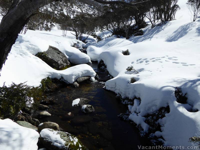 Bogong Creek indicating that a thaw has been underway<BR>See <a href=http://www.ciau.com.au/snow/rrr.asp?rrid=884>earlier report</a>