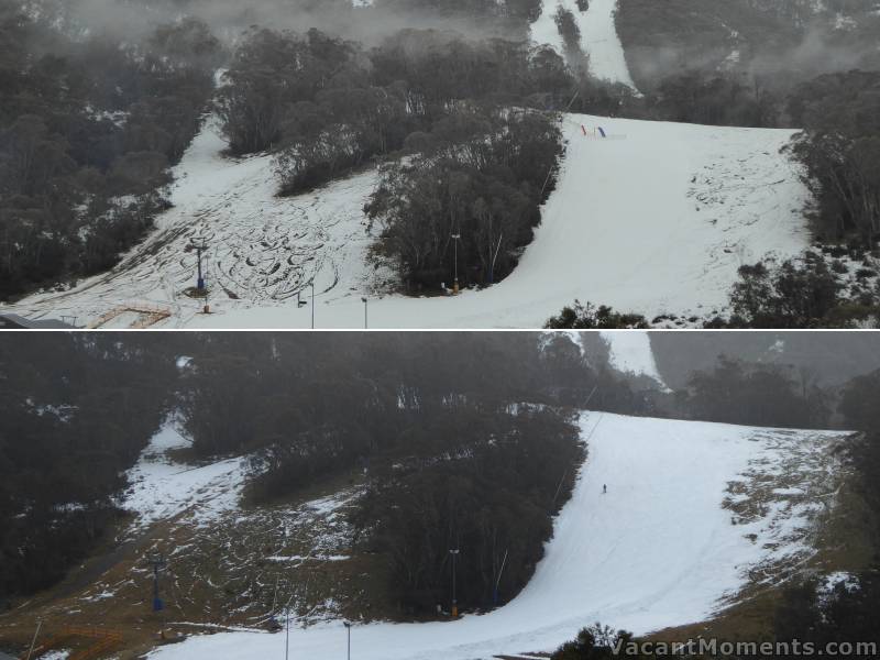 Thursday morning and afternoon as the grass reappeared around Sundance