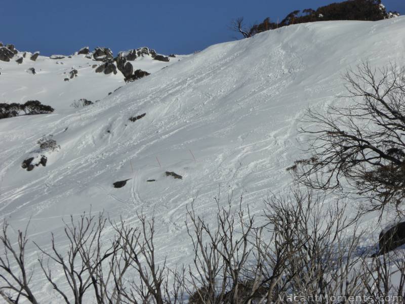 An unusual site from first chair on Friday morning