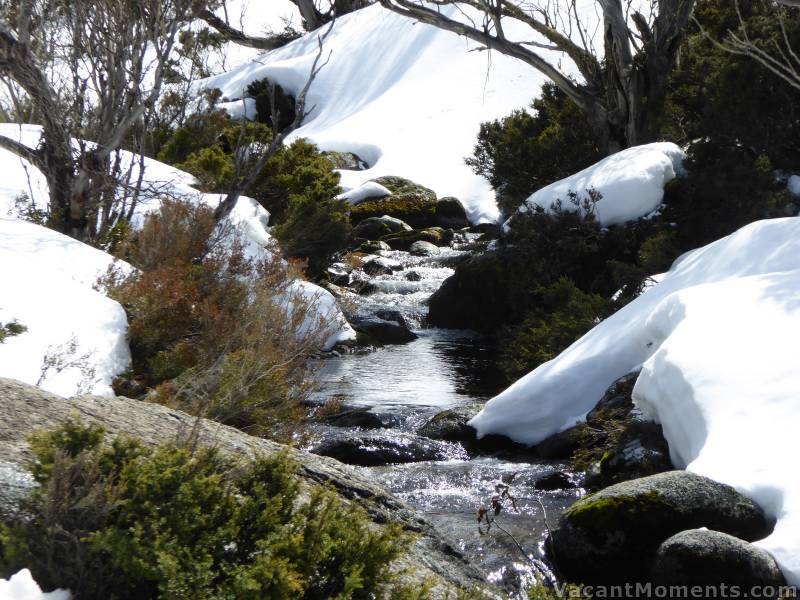 Bogong Creek