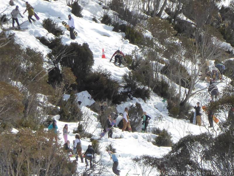 And a Bogong Party up the same creek<BR>No, I did not say a Bogan Party