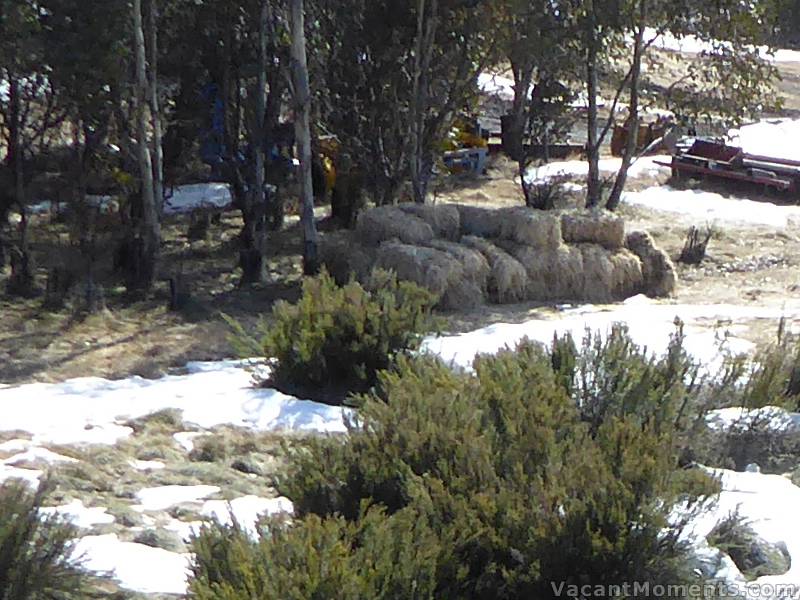 Saturday: Meadows - little natural snow to measure