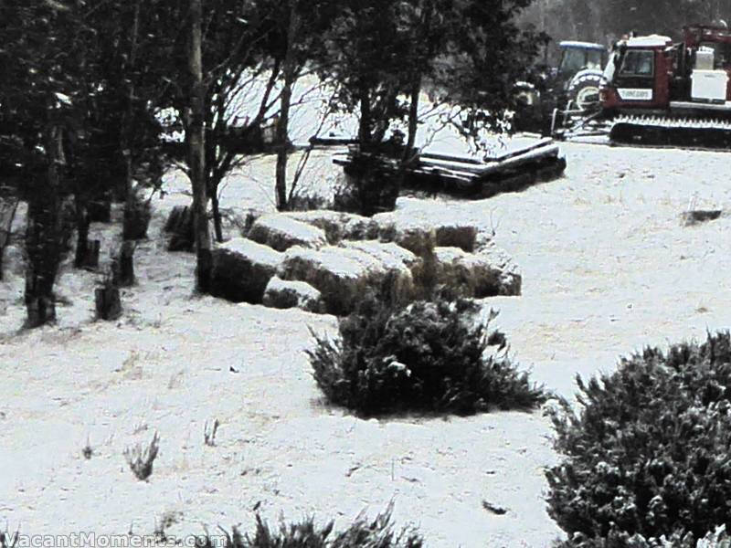 Meadows natural snow measuring station on Thursday