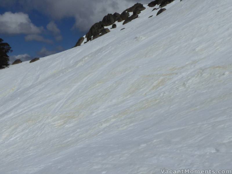 More of that yellow snow, this time in the Basin