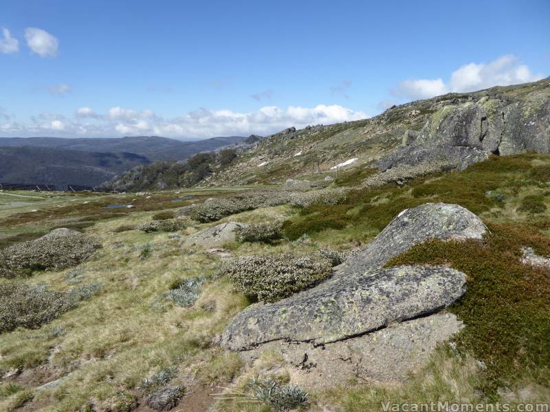 Looking south across the Basin