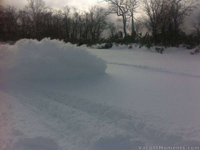 And now after 45cm of lovely fresh white stuff<BR>There's a boarder in there somewhere