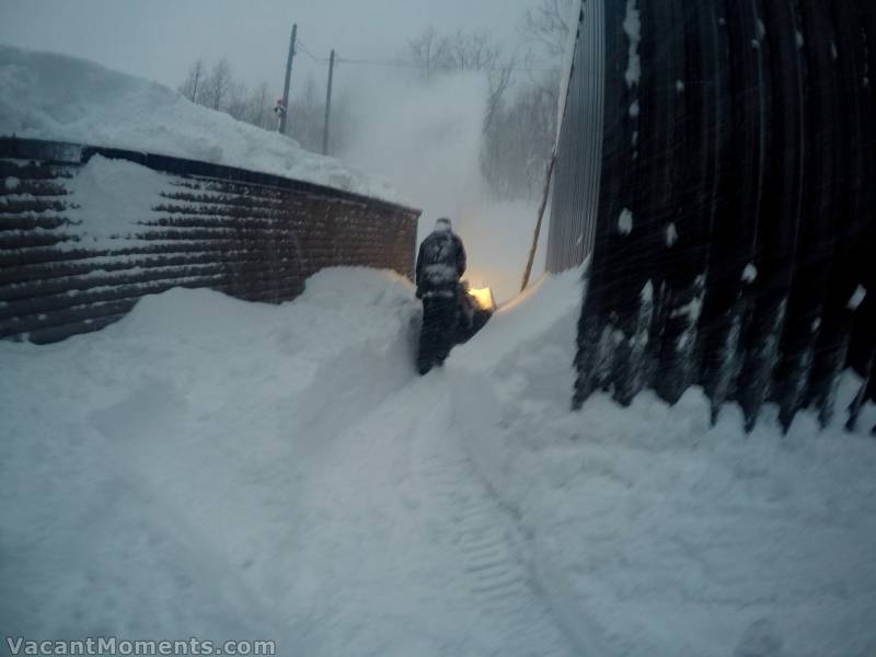 Of course, big snow falls mean getting the mower out again ... and again ;-)<BR>Old gardeners never quit, they just move north - a long way north