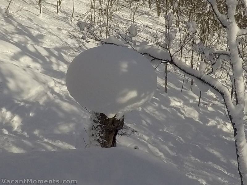 And in answer to my question on <a href=http://www.ciau.com.au/snow/rrhist3.asp?rrid=903>an earlier report</a> here's a snow bomb update ;-)