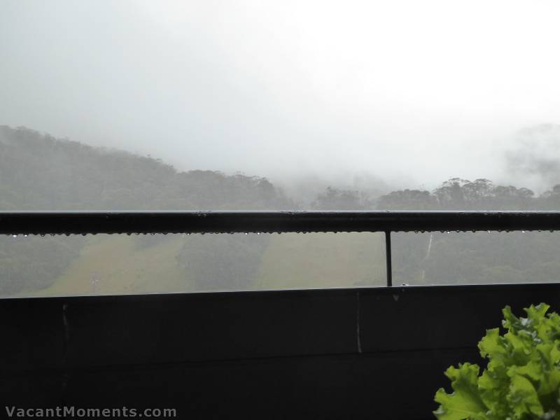 Looking beyond the lettuce growing on my Thredbo balcony into the mist and rain across to Sundance