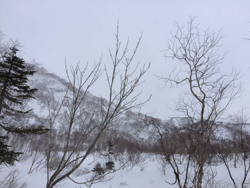 Back country in Hakuba<BR>In all fairness, I hear that things have improved