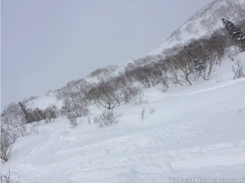 Open slopes with some 'wicky wacky'