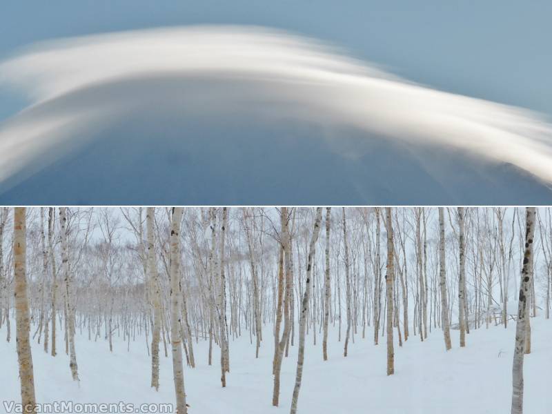 Yotei cloud and Makeari Forest