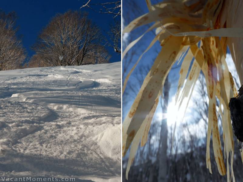 Freshies can be found if you know where to go on a sunny day