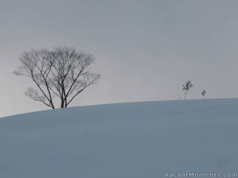 A typical serene scene from Japan