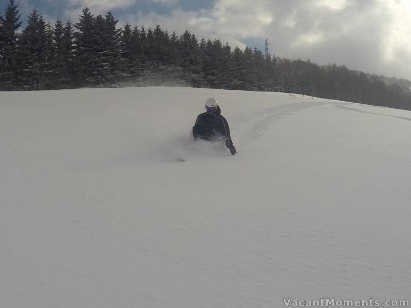 Wide open fields of untouched pow