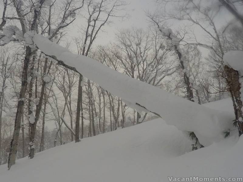 Fresh snow continues to fall