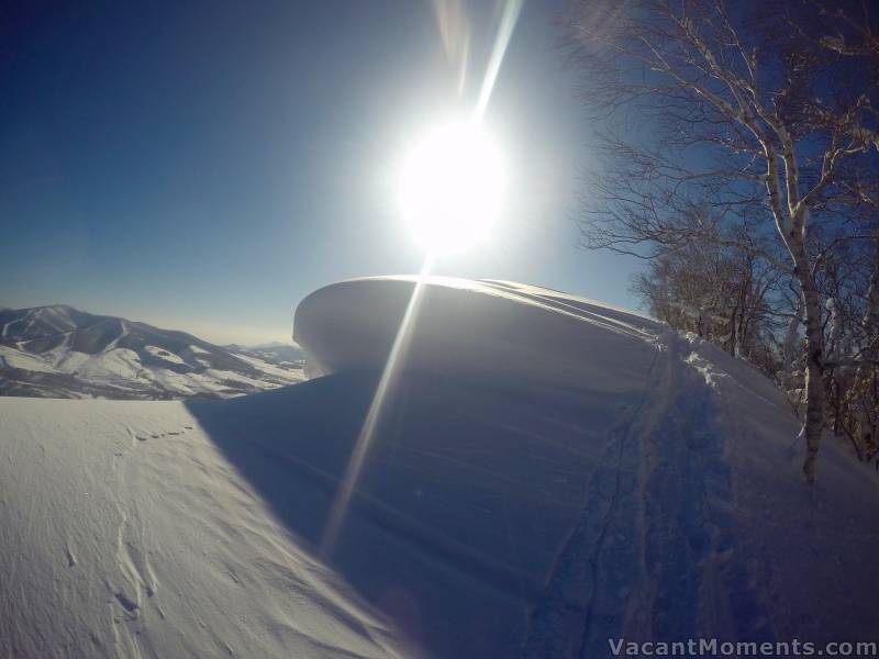 Meanwhile on Hokkaido the sun is also out