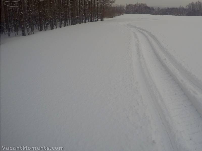 Two skis work better when travelling in a straight line across the flats