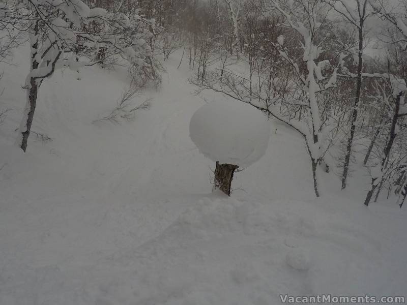 That snow bomb again - building towards it's max - see earlier reports for comparison