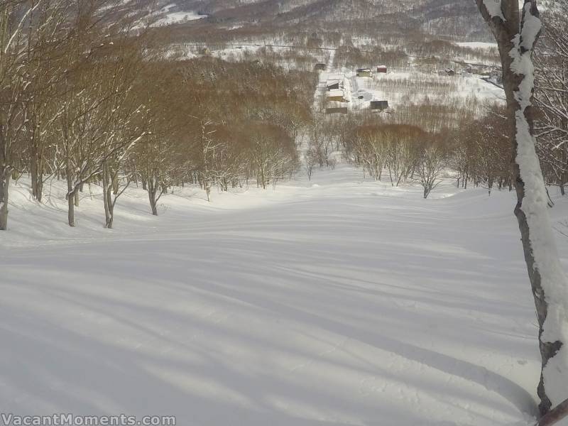 Fresh snow means new tracks to lay