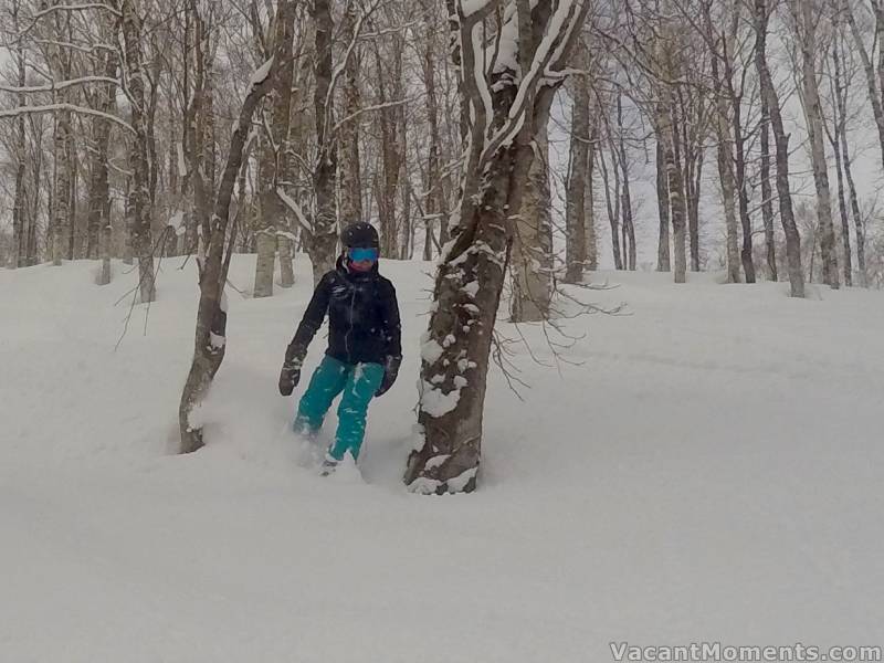 Andrea ventures into the trees looking for ...