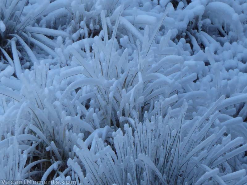 Yes, I find the ice formations fascinating - a bit like opening a bag of frozen chips ;-)