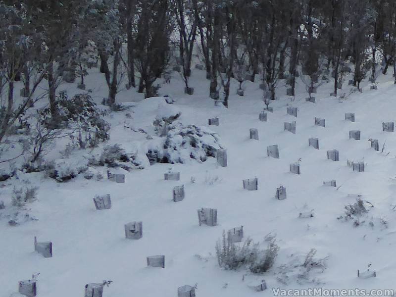 Saturday morning: Meadows natural snow depth indicator