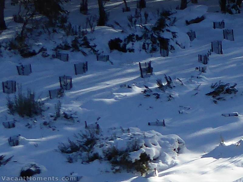 Meadows natural snow depth