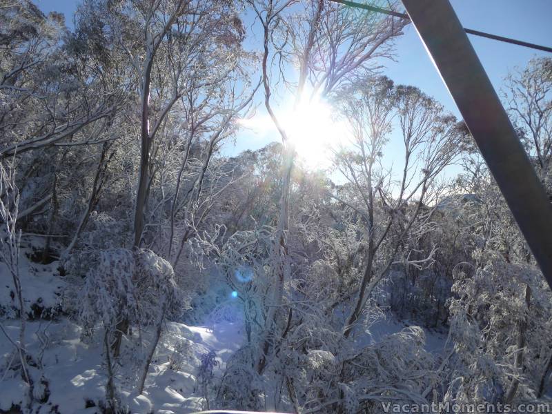 Snow in the trees and everything looking great