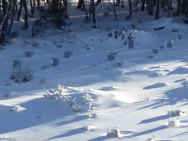 The natural snow measuring spot at Meadows showing an improved cover