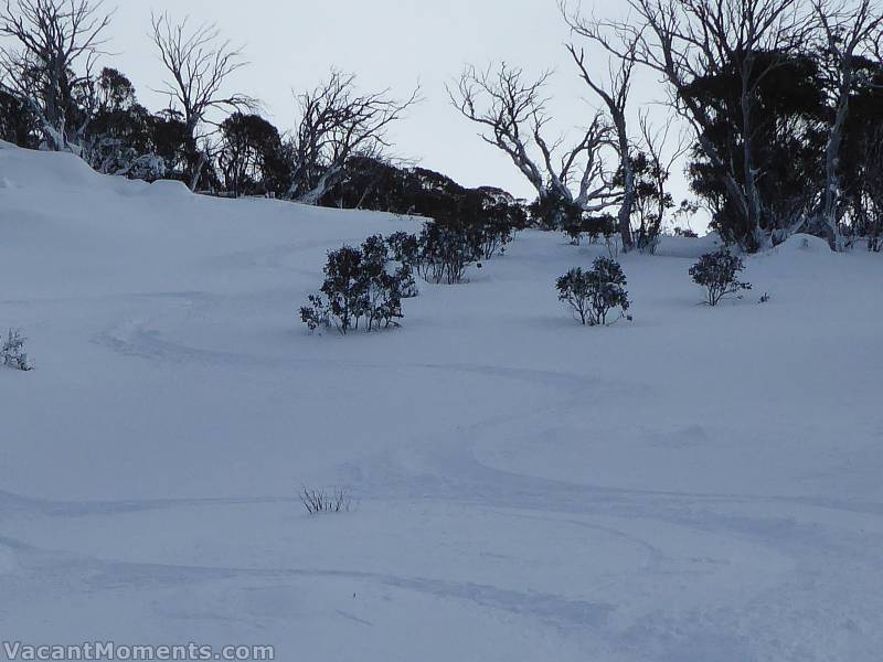 Then out across Merritts Falls and the trees around the still closed Sponars :-)