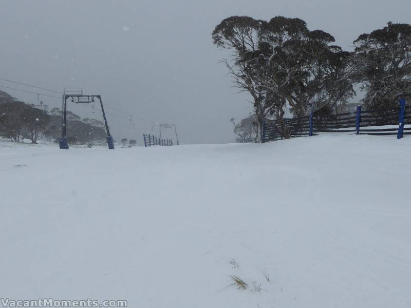 This morning in the Basin where the grass helped provide some definition