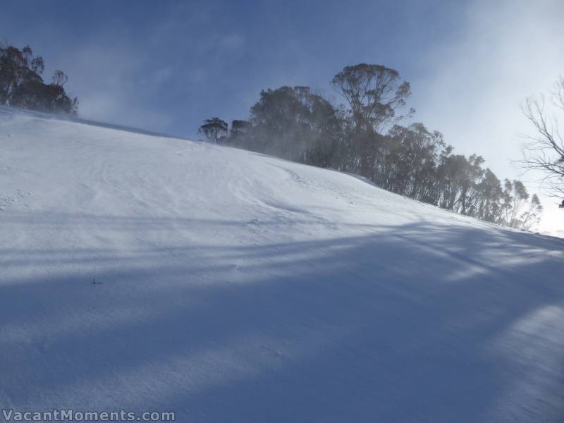 Little Beauty yesterday as I laid fresh tracks (the wind covered them straight away)