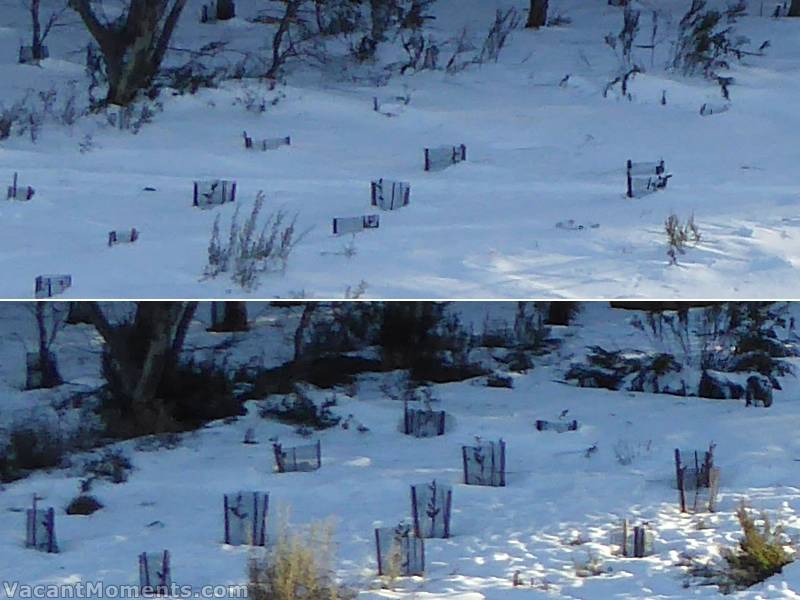 Meadows natural snow measuring point yesterday morning and 24 hours later