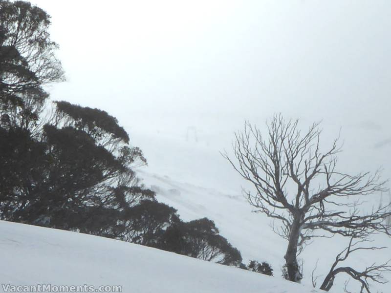 Wind blown snow kept upper runs topped up but hard to see through