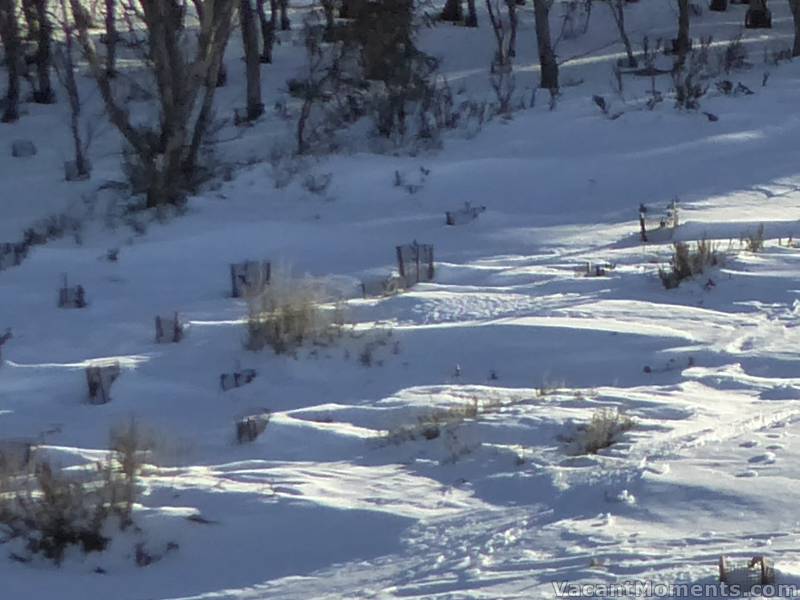 Meadows snow depth this morning (down a little)