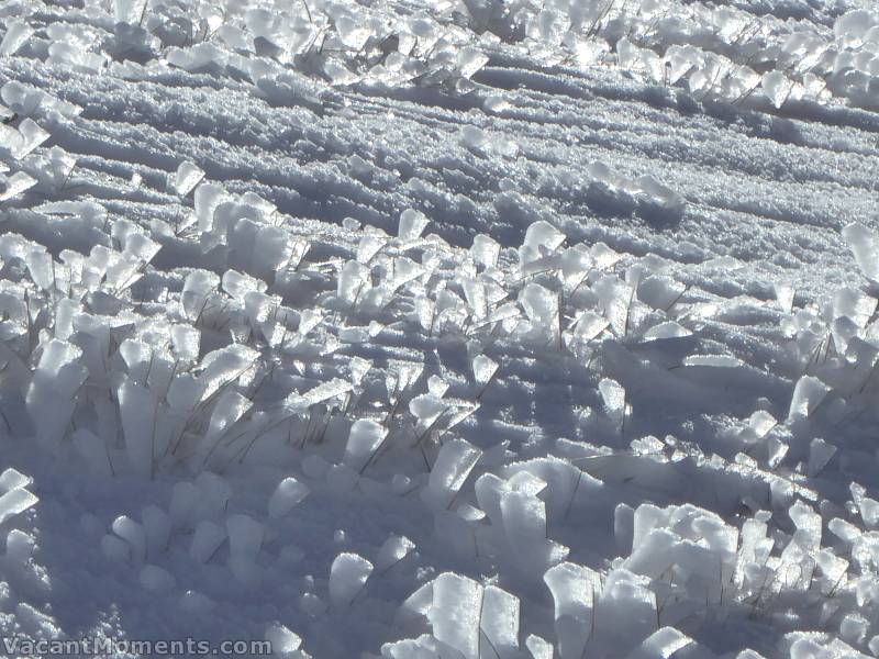 Icy-popsicles