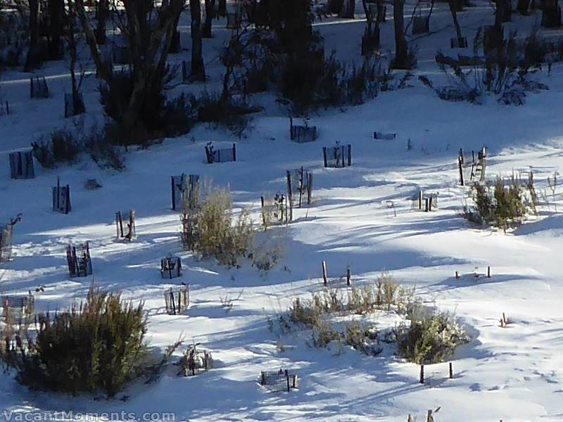 Meadows snow depth Thursday - not much change since