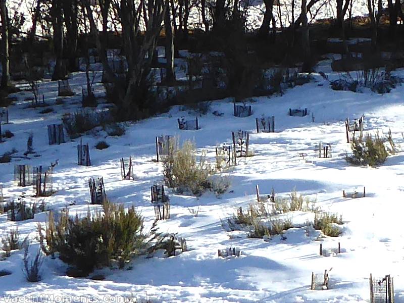 Meadows snow depth yesterday (Thursday)