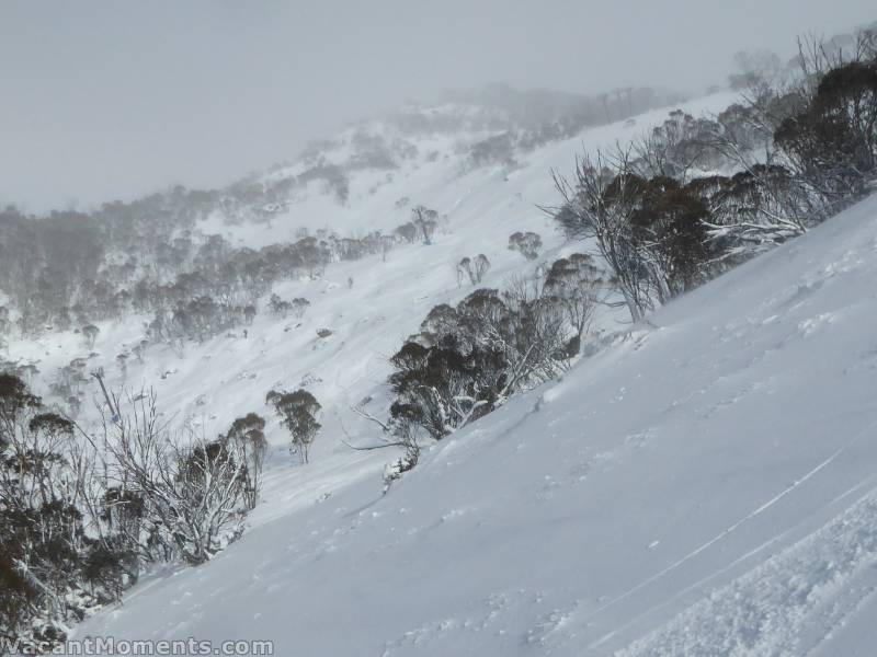 Fresh lines amongst the trees on Sunday morning