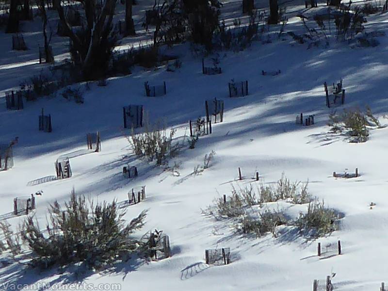 Meadows snow depth this morning (Friday)