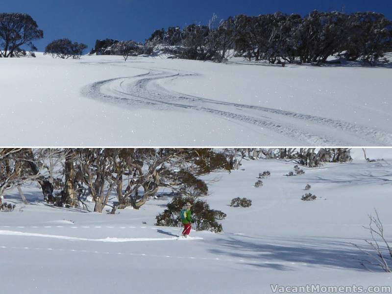 Wonderful dry, fluffy, freshies on untracked slopes