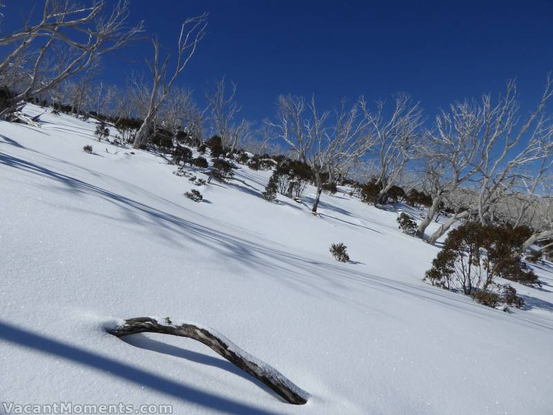 It was beautiful out there under a cloudless blue sky