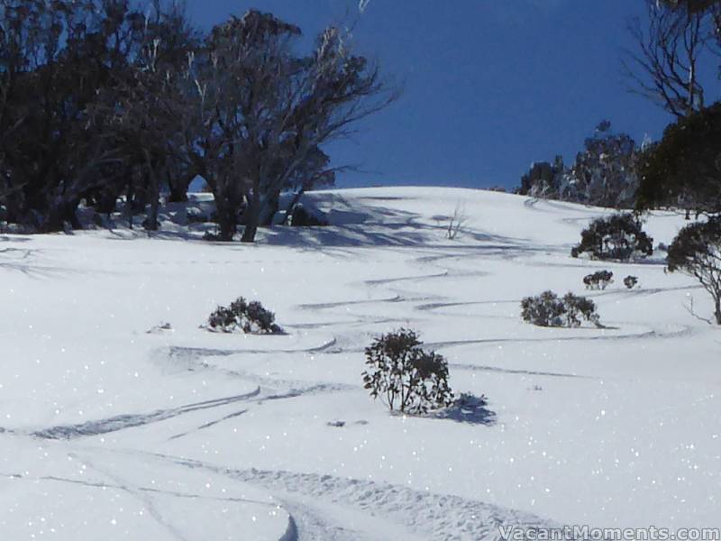 Marion's long turns and my short swings