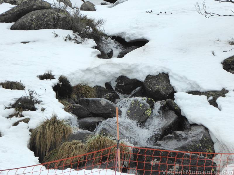 The waterfall above the top of Gunbarrel<BR>and thinking what will it look like after 45mm of rain