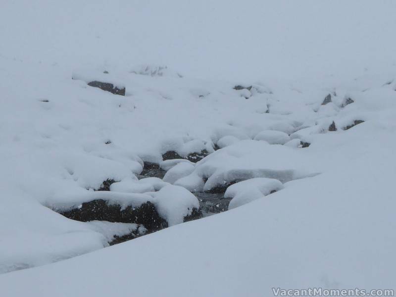 Merritts Creek above Conrod Straight this morning