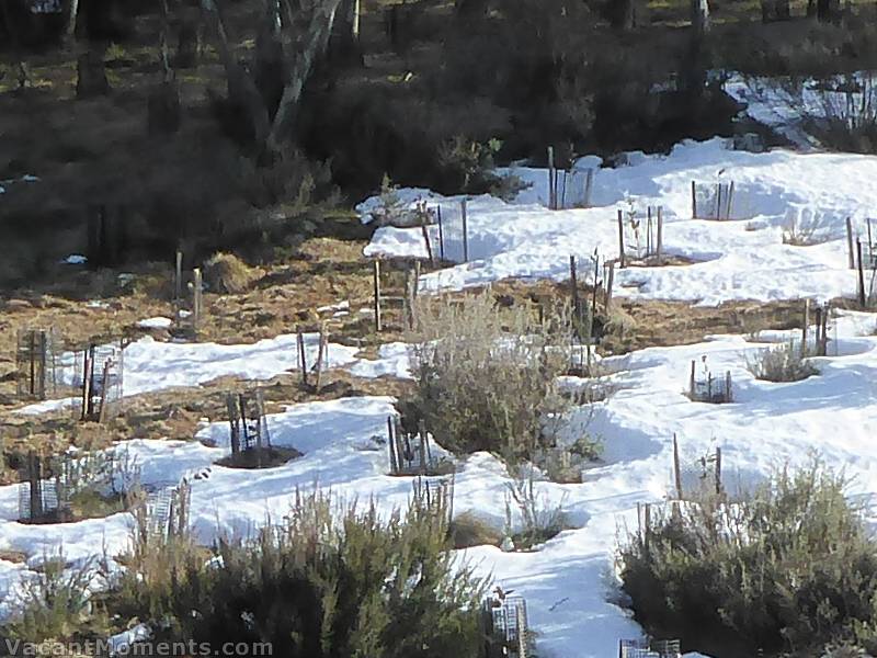 Meadows snow depth on Tuesday