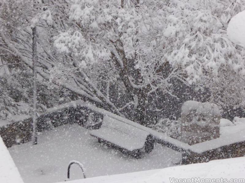 Heavy snowfall in the Village Square overnight