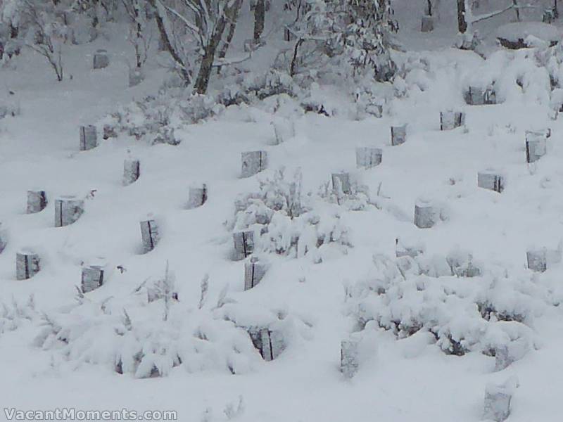 And last of all - today's snapshot of the Meadows Grass Depth Area ;-)