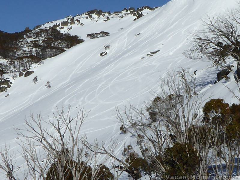 Straight lines and big wash out emergency turns on the Bluff's sticky snow